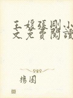 王媛张刚小说全文免费阅读封面