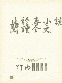 止于春小说免费阅读全文