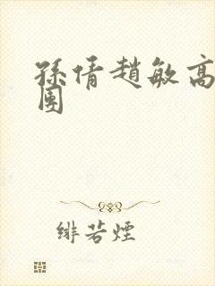 孙倩赵敏高义大团