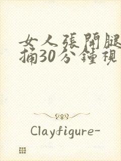 女人张开腿男人捅30分钟视频