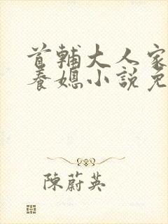 首辅大人家的童养媳小说免费阅读全文