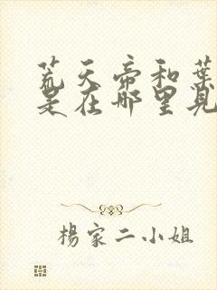 荒天帝和叶天帝是在哪里见面的