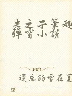 光之子笔趣阁无弹窗小说封面