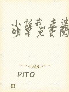 小说我老婆是大明星免费阅读