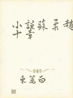 小说苏柔赵刚第十章