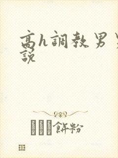 高h调教男男小说