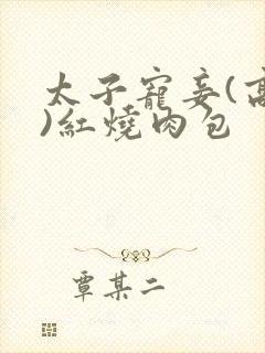 太子宠妾(高肉)红烧肉包