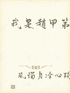 我是赵甲第小说