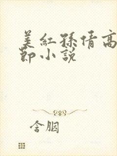 美红孙倩高义章节小说
