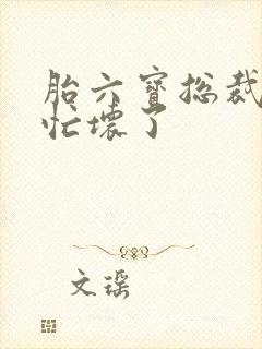 胎六宝总裁爹地忙坏了