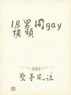18男同gay视频