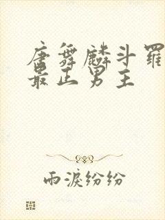 唐舞麟斗罗三观最正男主