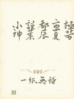 小说都市极品医神叶辰夏若雪无弹窗