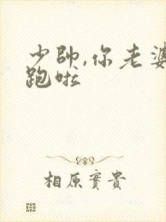 少帅,你老婆又跑啦