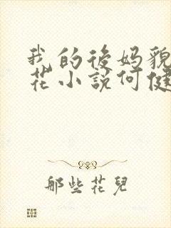 我的后妈貌美如花小说何健免费阅读封面