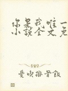 你是我唯一的光小说全文免费阅读