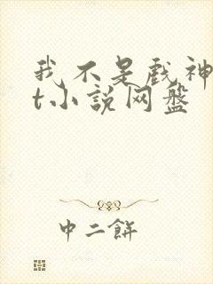 我不是戏神txt小说网盘