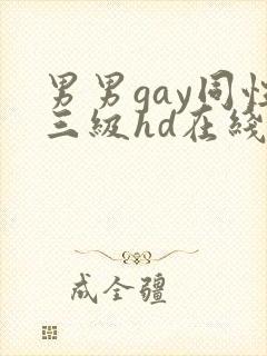 男男gay同性三级hd在线