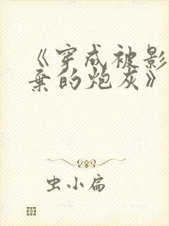 《穿成被影帝抛弃的炮灰》