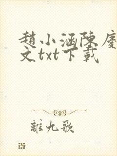 赵小涵陈庆之全文txt下载