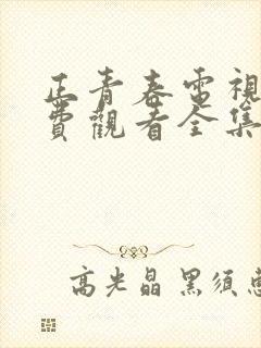 正青春电视剧免费观看全集6