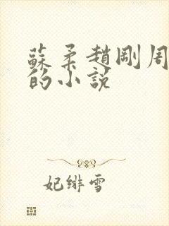 苏柔赵刚周明权的小说