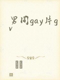 男同gay片gv