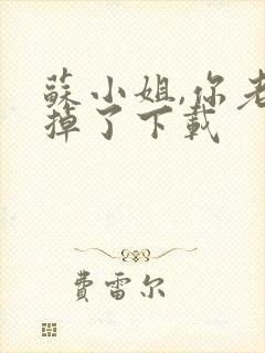 苏小姐,你老公掉了下载封面