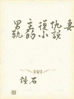 男主复仇妻子出轨的小说封面