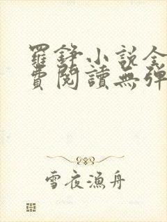 罗铮小说全文免费阅读无弹窗