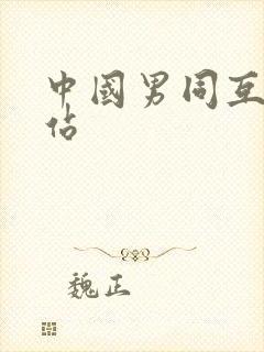 中国男同互操网站