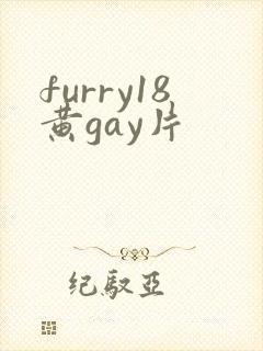 furry18黄gay片
