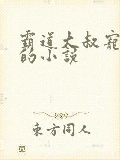 霸道大叔宠甜妻的小说