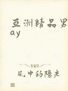 亚洲精品男同gay