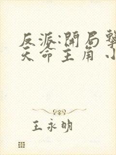 反派:开局击杀天命主角 小说