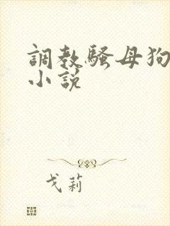 调教骚母狗高h小说