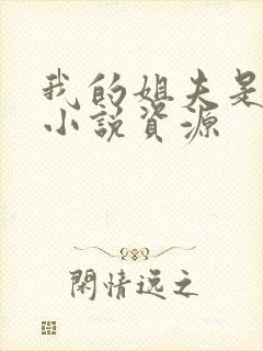 我的姐夫是太子小说资源封面