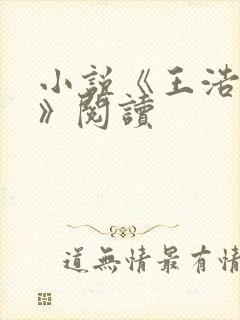 小说《王浩李洁》阅读