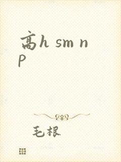 高h sm np封面