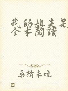 我的姐夫是太子全本阅读