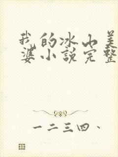 我的冰山美女老婆小说完整