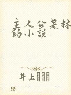 主人公是林晚晴的小说