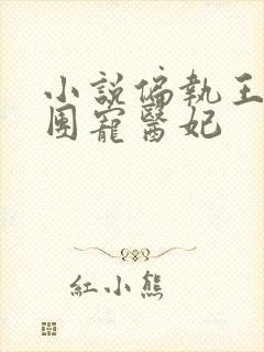 小说偏执王爷的团宠医妃