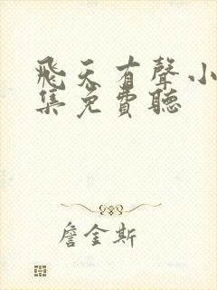 飞天有声小说全集免费听