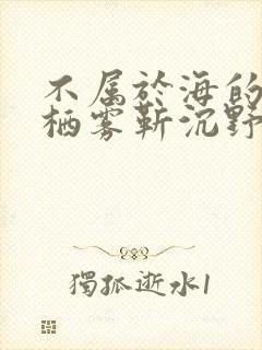 不属于海的风唐栖雾靳沉野免费阅读