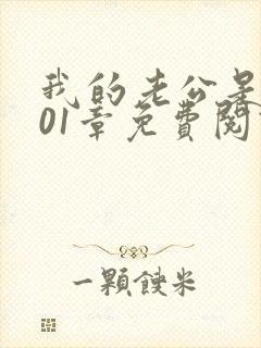 我的老公是条狗01章免费阅读全文