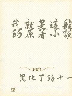 我就是这般女子的原著小说封面