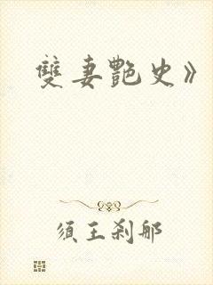 双妻艳史》封面