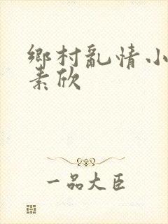 乡村乱情小说丁素欣