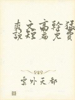 爽文高干猛文小说短篇免费阅读